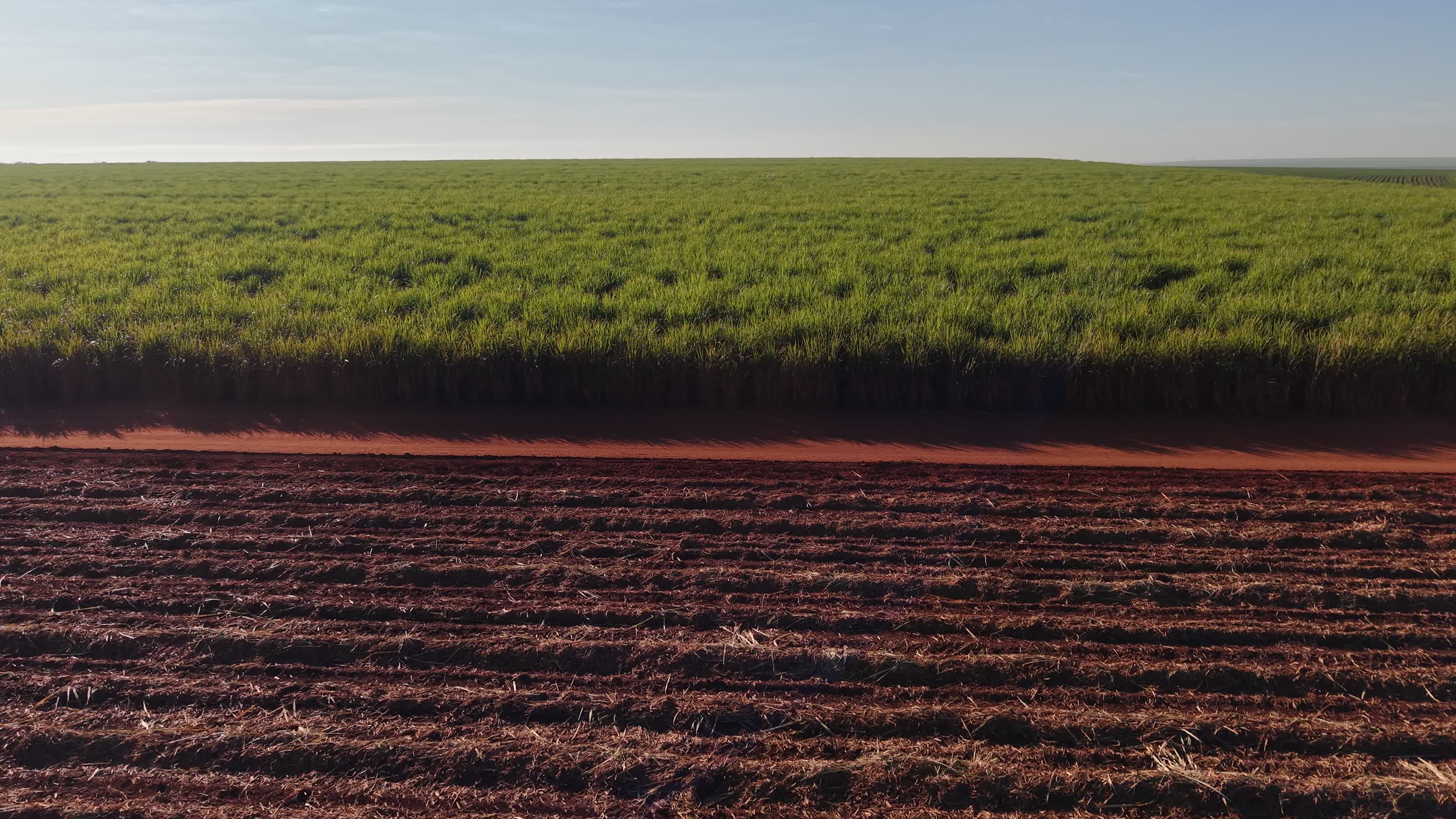Plantação de cana-de-açúcar e solo arado