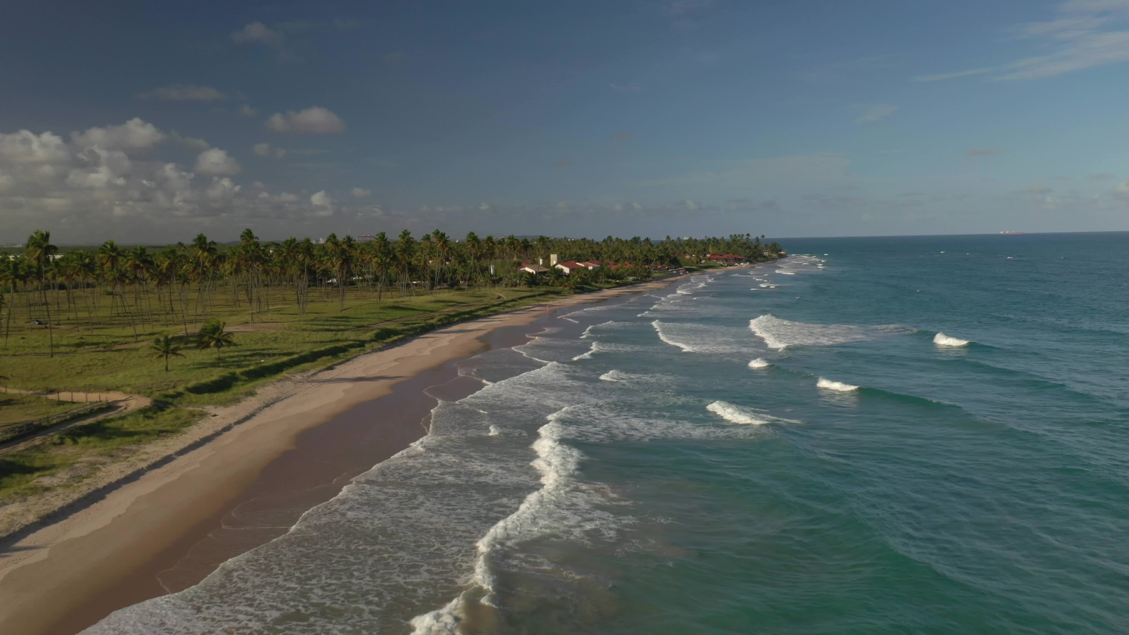aerial view of waves on the beach and coconut trees in Porto de Galinhas