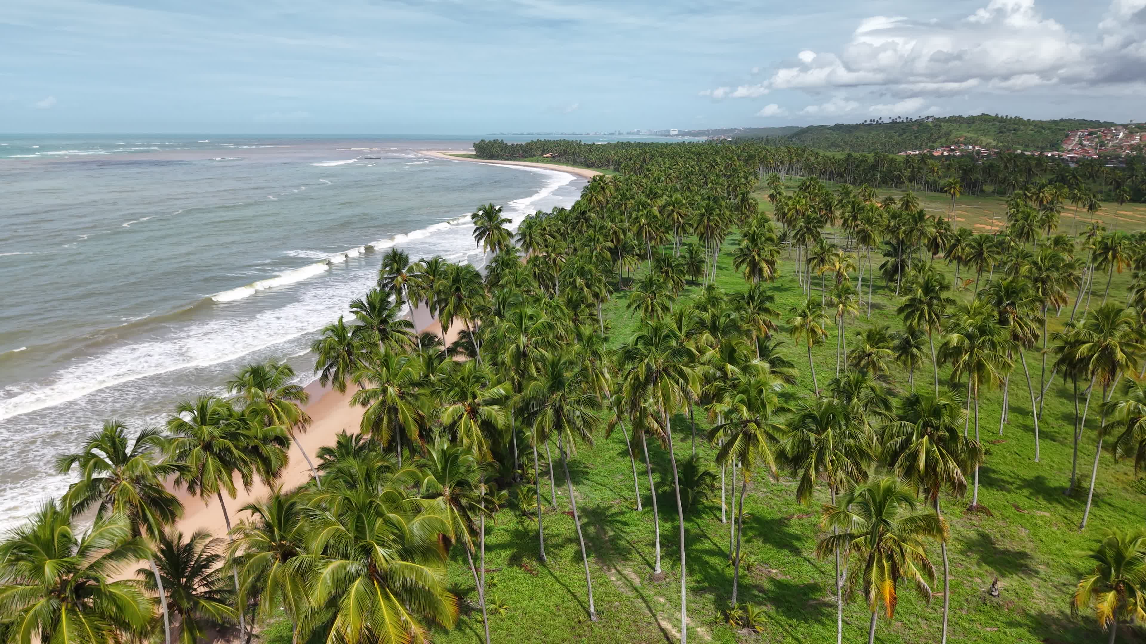 PRAIA DE IPIOCA - MACEIO - ALAGOAS 