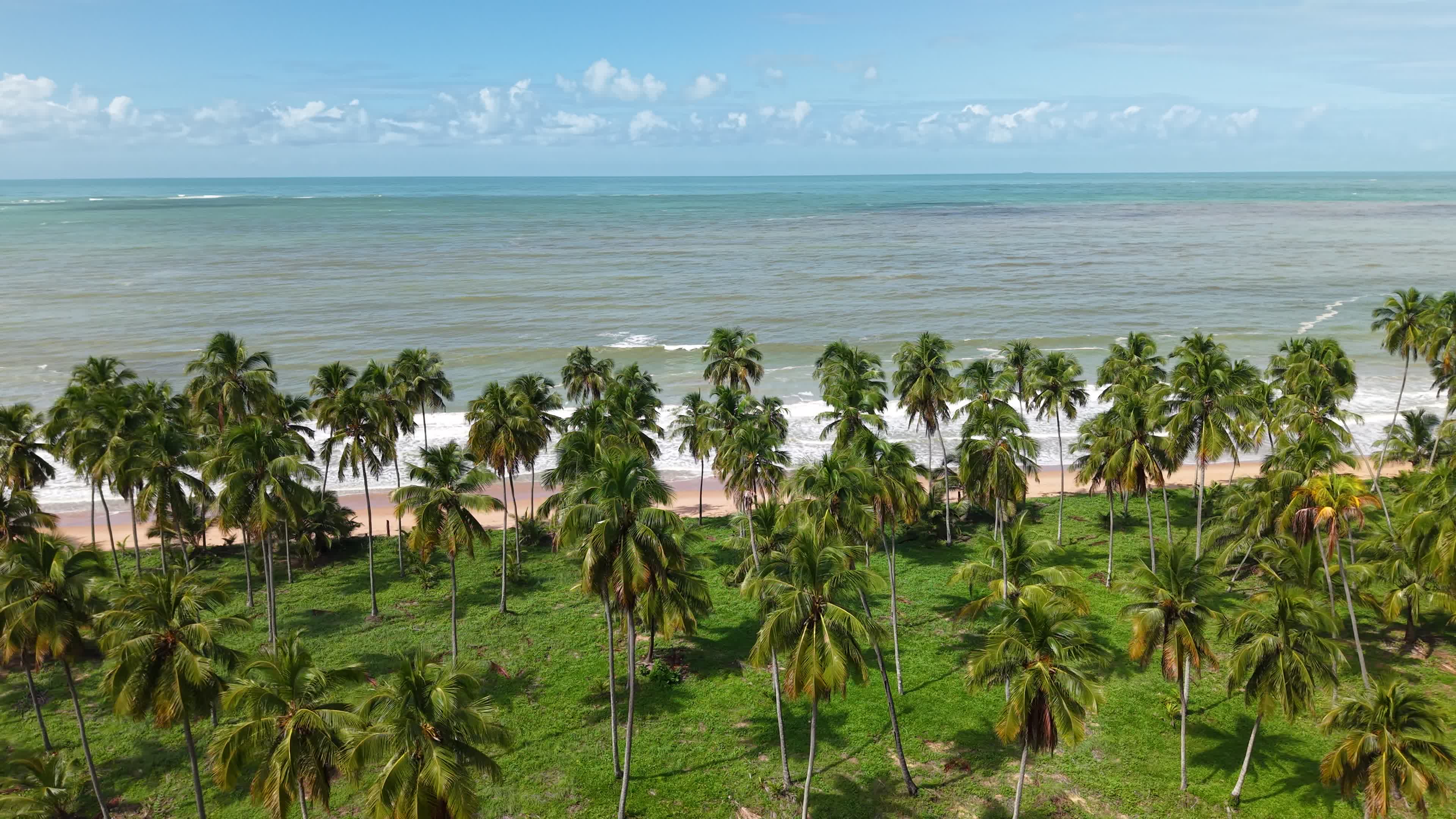 PRAIA DE IPIOCA - MACEIO - ALAGOAS 