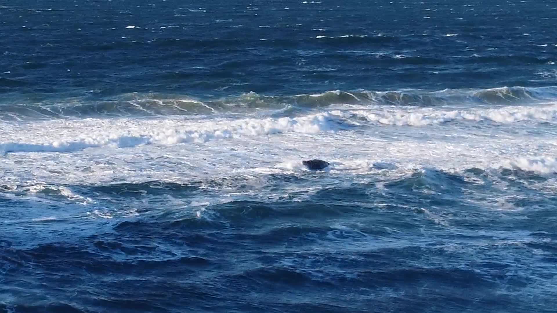 Praia da Joaquina 