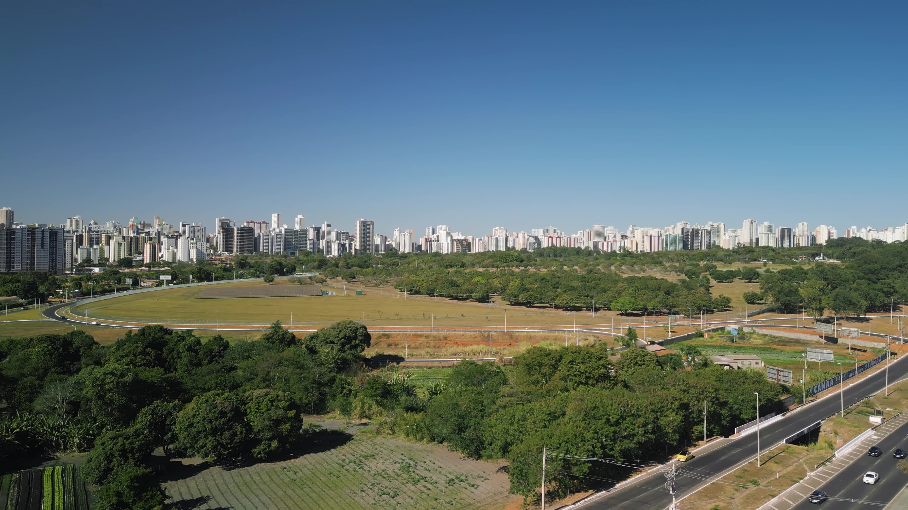 Arranha-céus ao fundo de parque arborizado