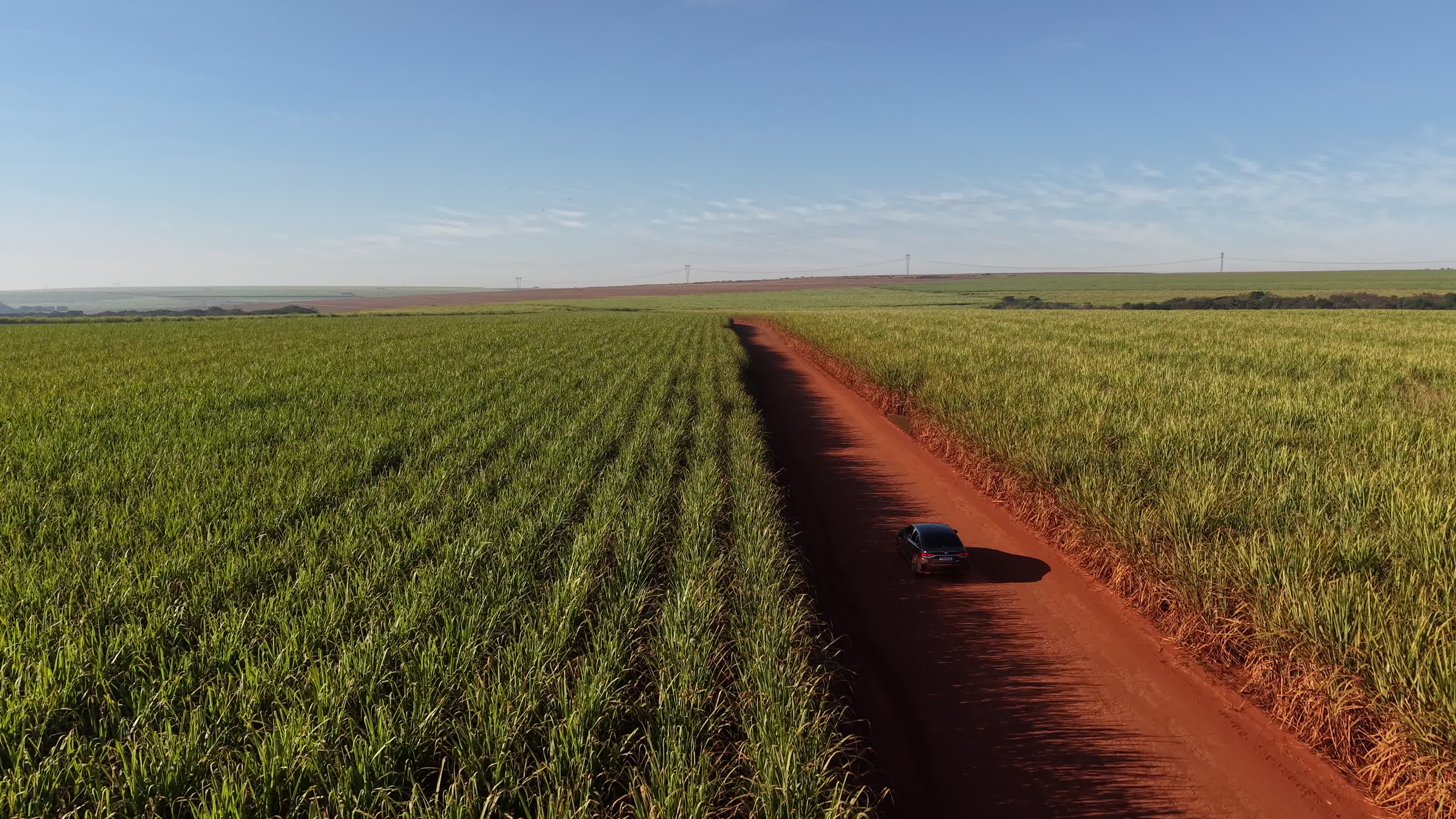 Carro na estrada de terra entre canaviais