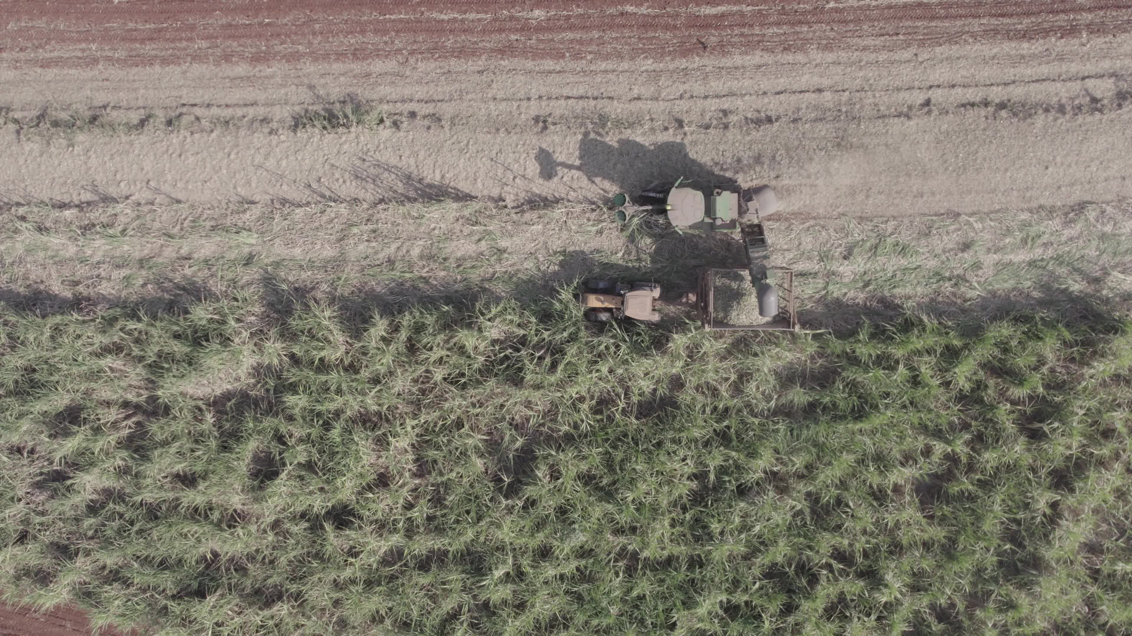 Colheita de Cana – Vista Aérea zenital