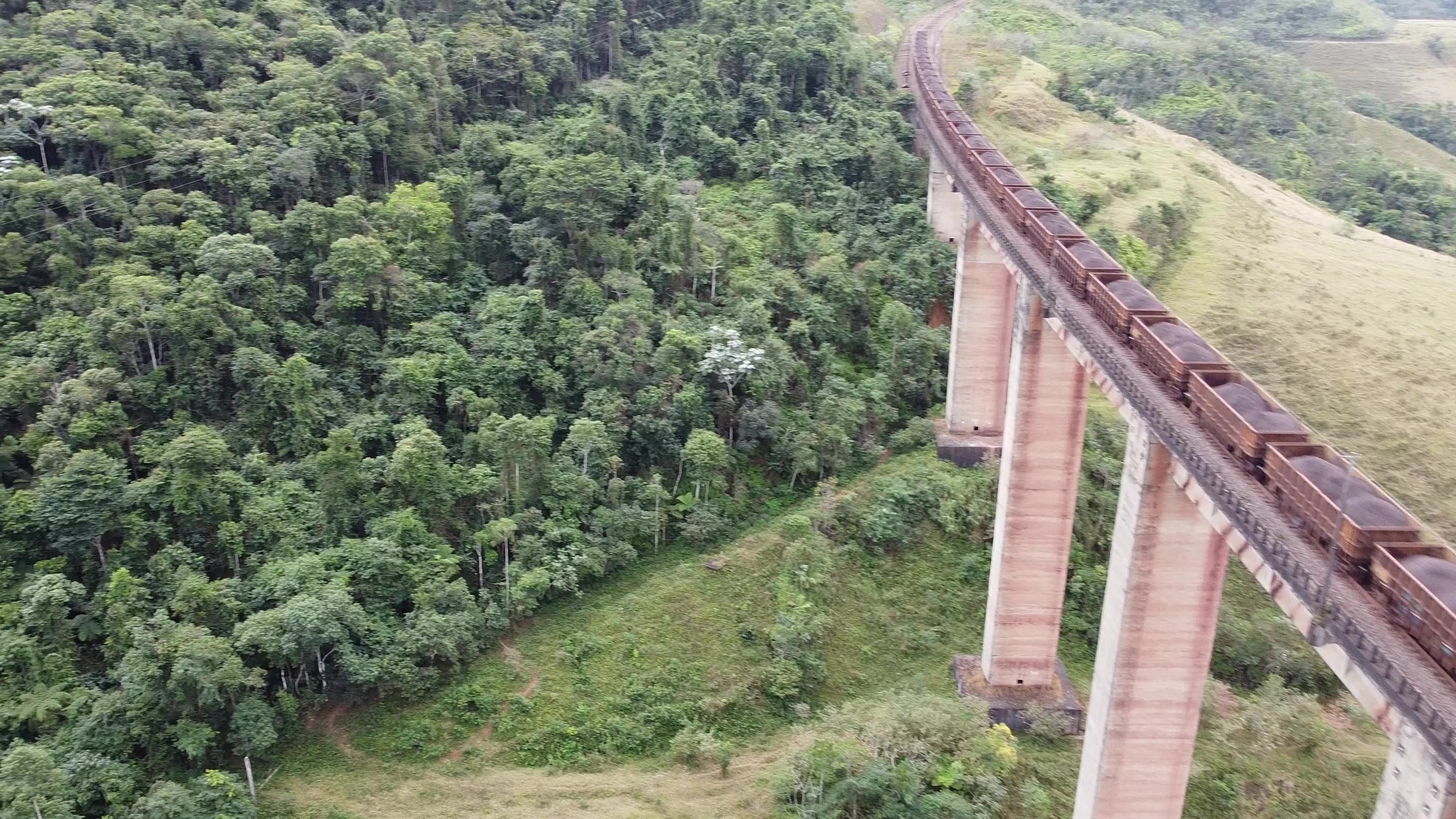 Trem Cargueiro Viaduto Fazenda