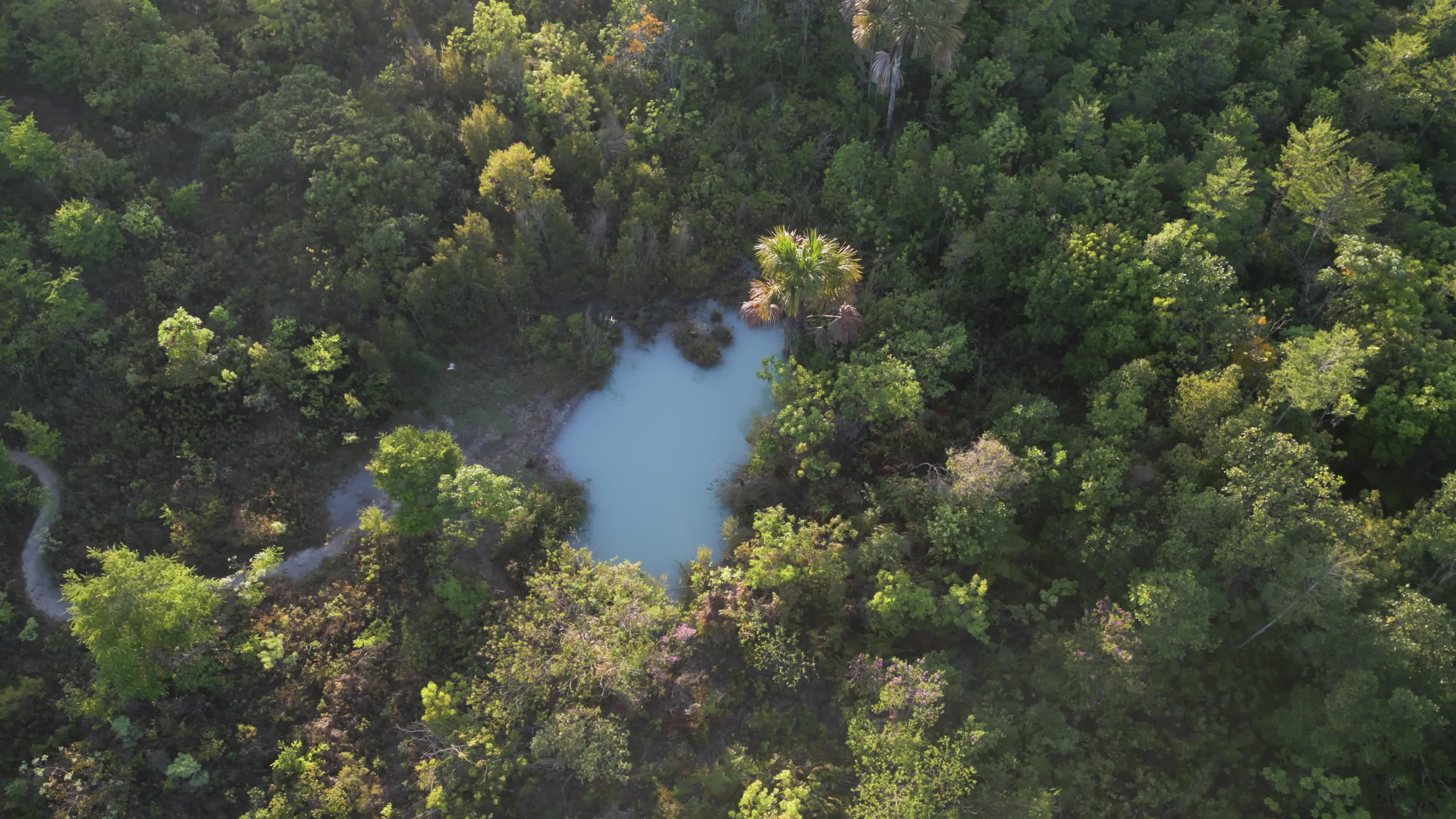 Nascente de Águas Azuis no Cerrado de Brasília